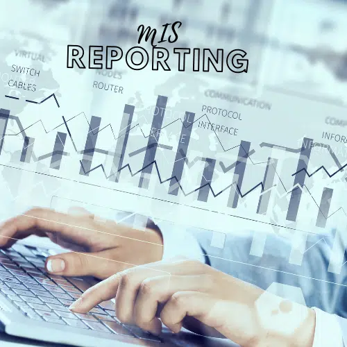 MIS Reporting Services in Dubai